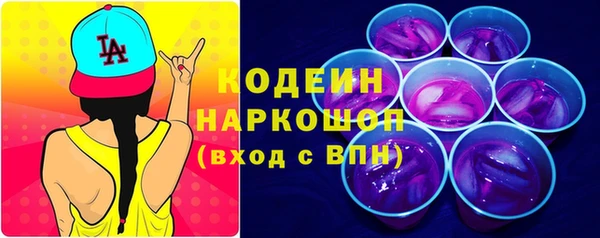 СК Бронницы