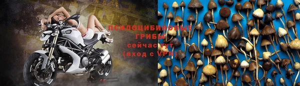 СК Бронницы