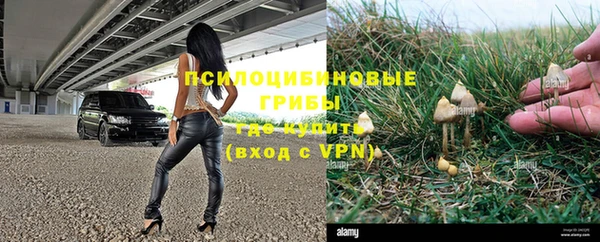 индика Верхнеуральск