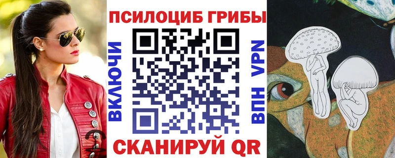 Псилоцибиновые грибы MAGIC MUSHROOMS  купить наркотики цена  Уссурийск 